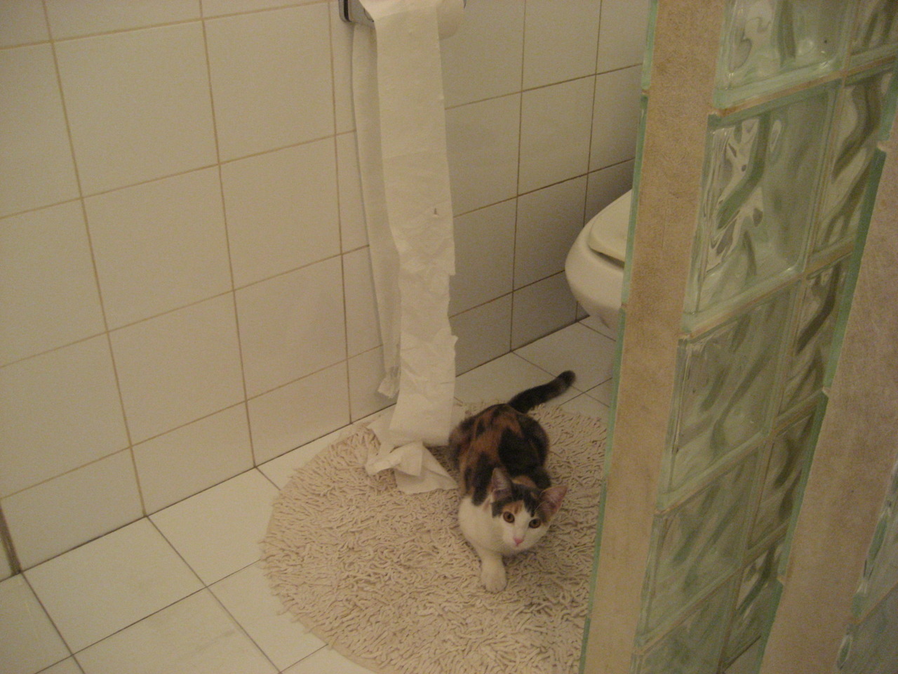 伊朗女足获评“冬奥最佳技术球队”,伊朗有女选手参加奥运会吗